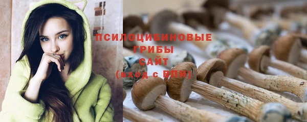 тгк Баксан