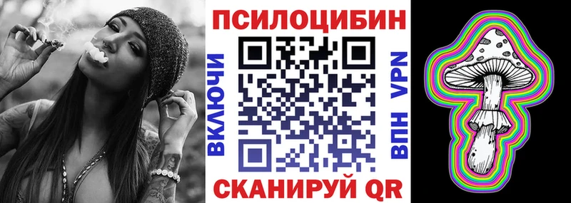 кракен ONION  Ессентуки  Псилоцибиновые грибы Psilocybe 