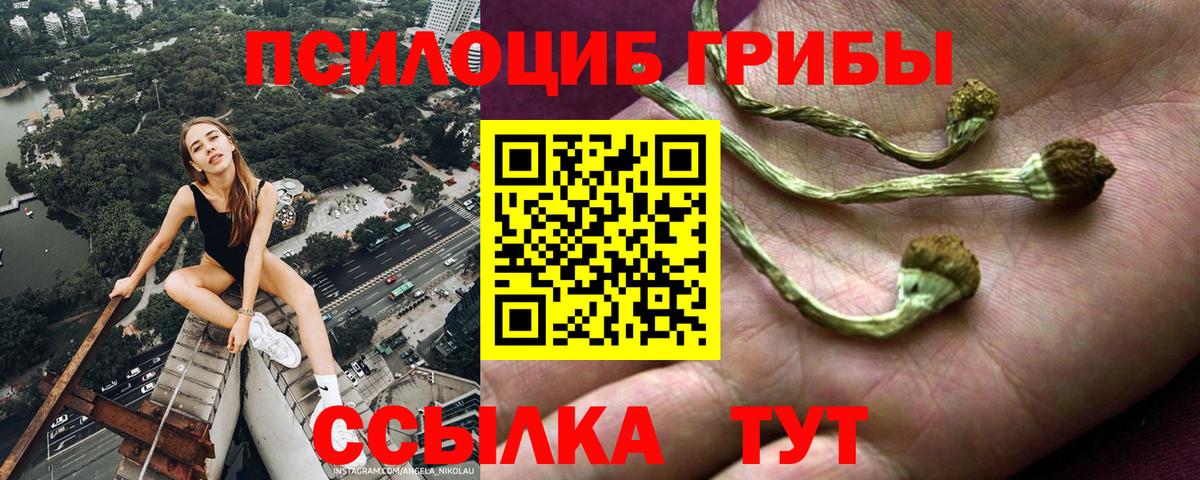 Галлюциногенные грибы GOLDEN TEACHER Ессентуки
